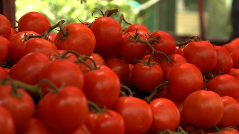 Americans are set to pay more for ketchup, salsa and other tomato-based foods because of new...