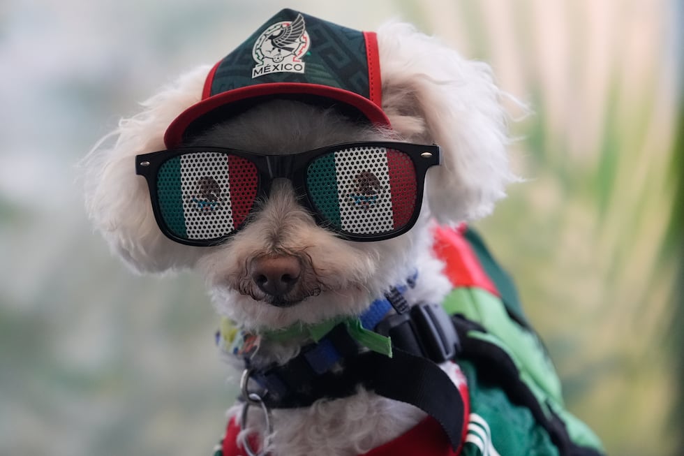 El perro "Osito" luce los colores de la selección de México en el Mundial, el jueves 18 de...