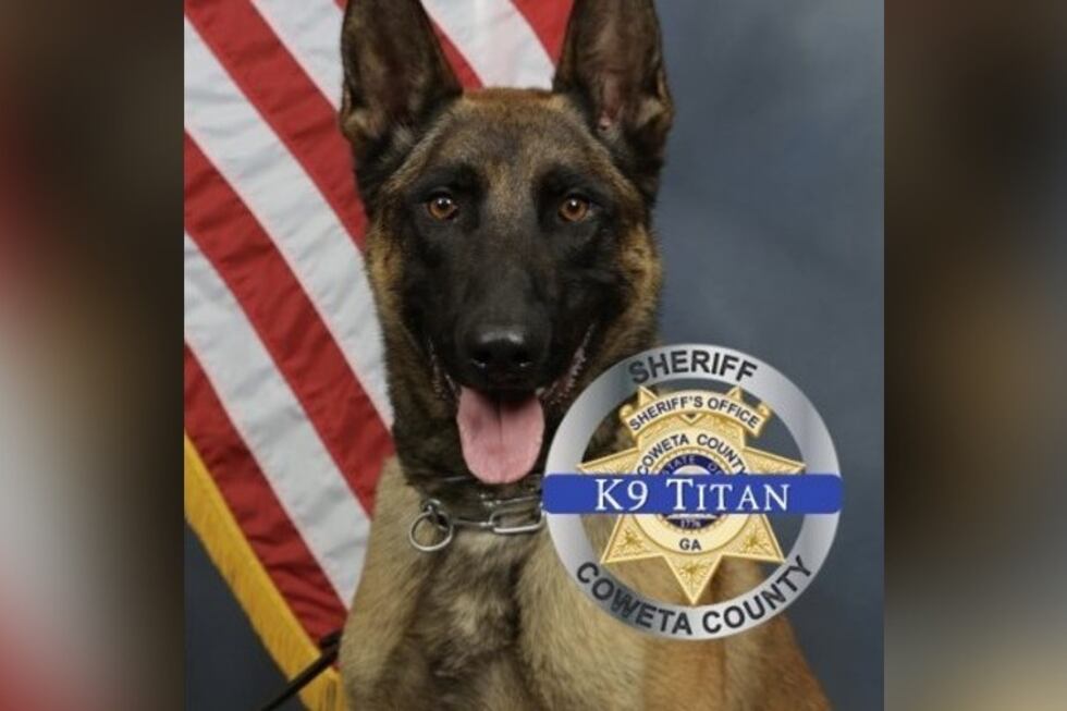 K-9 Titan