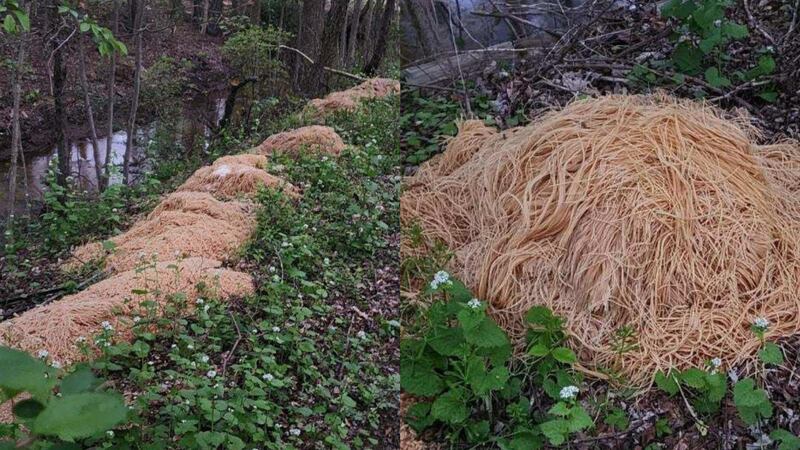 Casi 500 libras de pasta cocidas aparecieron junto a un arroyo en Nueva Jersey la semana pasada.