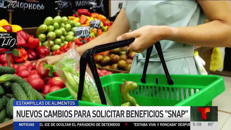 Entran en vigor cambios para solicita beneficios de SNAP